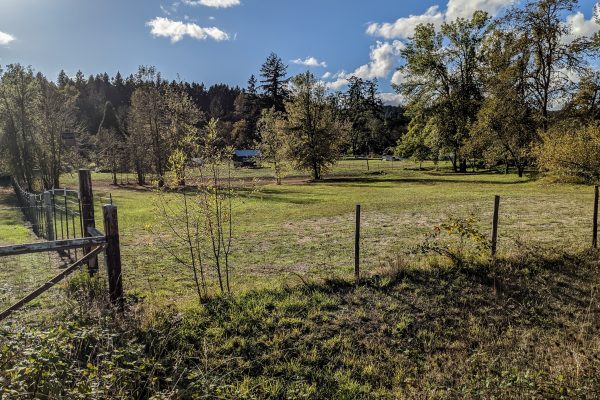 Back taxes on vacant land property?